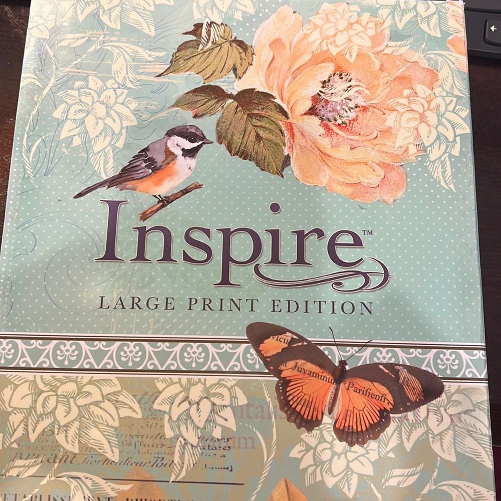 Inspire Bible- Large Print edition